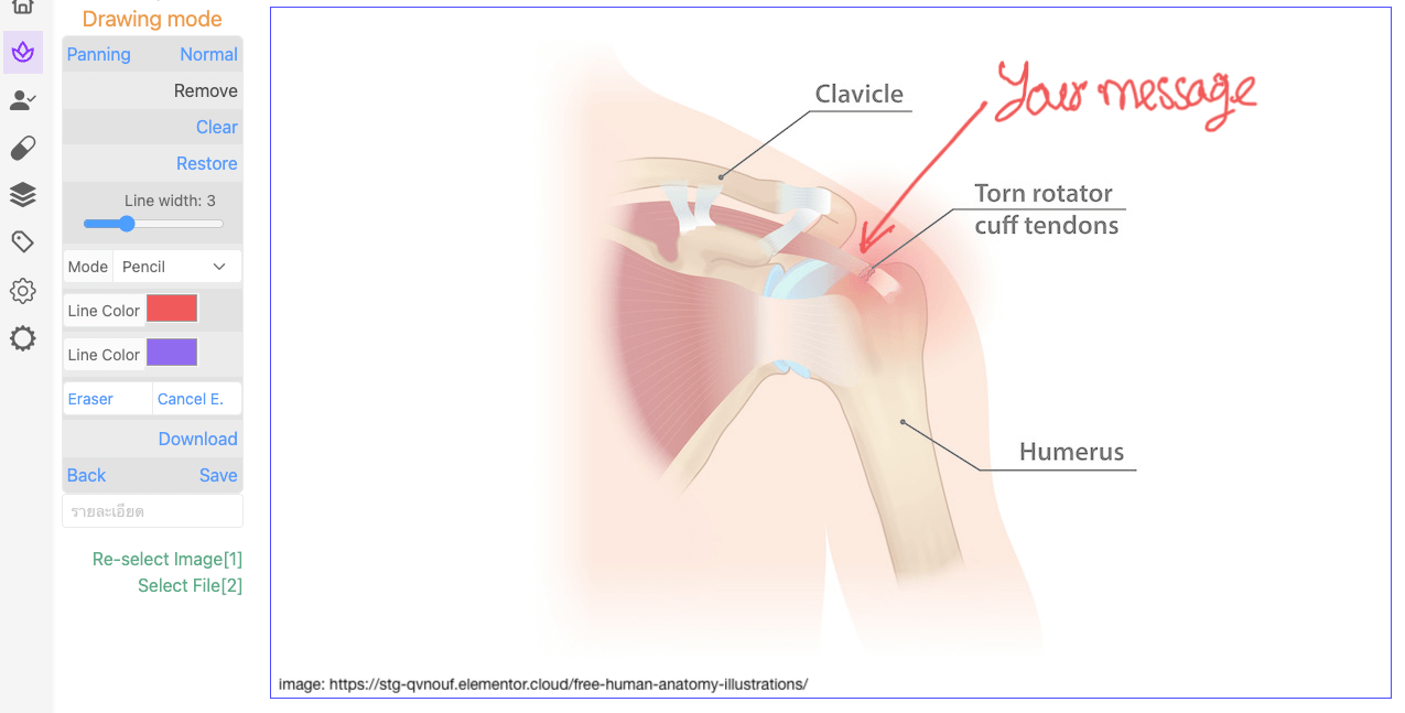 Anatomical image with kksEHR